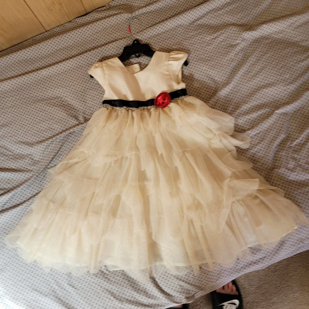 Girls size 4t dress